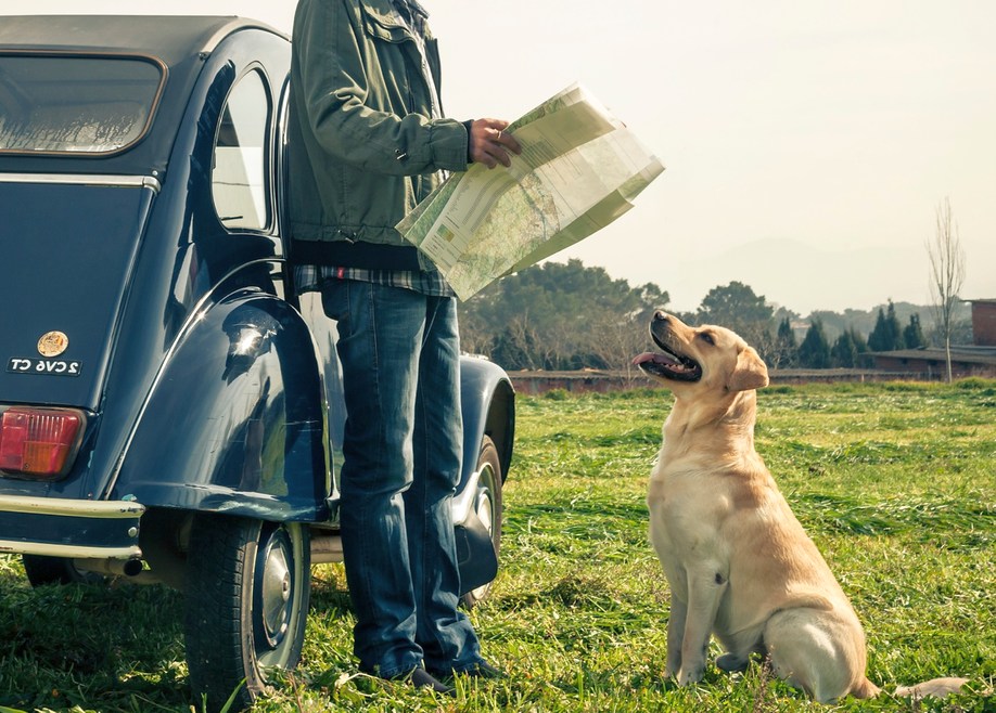immagine presentazione domanda: "Per viaggiare all'estero con il proprio cane, l'animale deve essere munito di passaporto?"